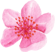 flower1