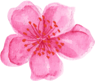flower10
