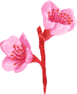 flower12