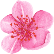 flower3
