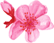 flower4