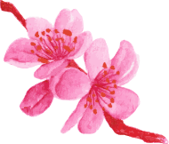 flower6