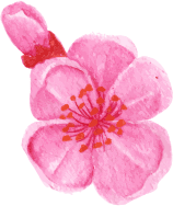 flower7
