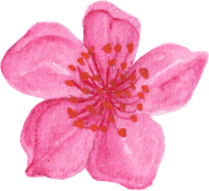 flower9